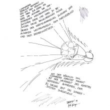 Commander Starlight #6