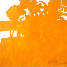 Organic Matter Of Light Coming From The Bright Earth