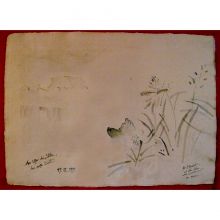 Am Ufer Der Stille Das Große Licht