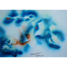 MIRAKALI evolution 1