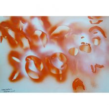 MIRAKALI evolution 2