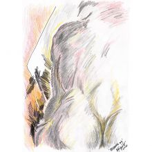 Paris: Awakening Body